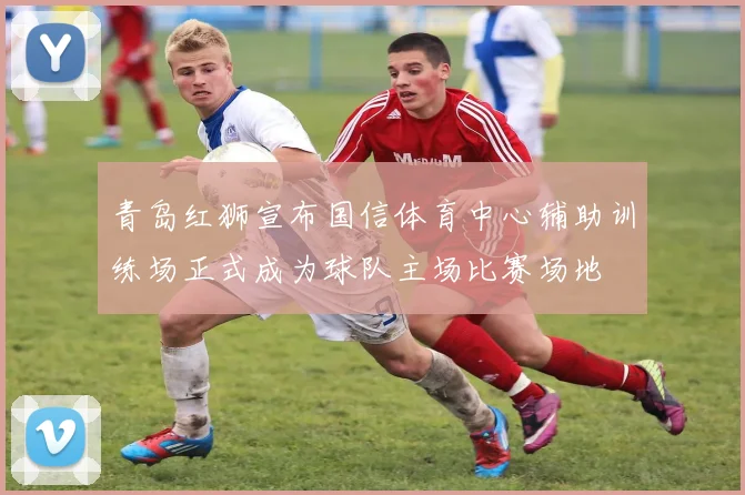 青岛红狮宣布国信体育中心辅助训练场正式成为球队主场比赛场地